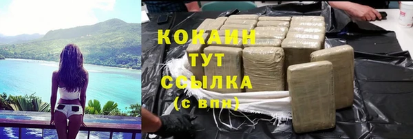 гашик Каменногорск