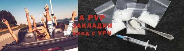 гашик Каменногорск