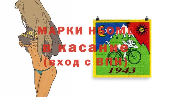 гашик Каменногорск