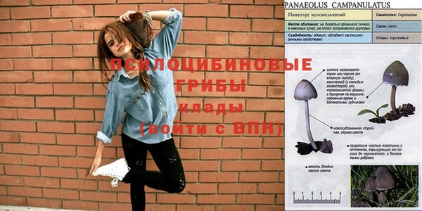 гашик Каменногорск