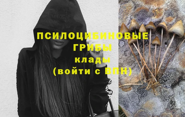 гашик Каменногорск